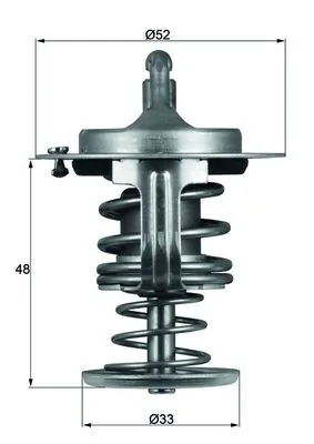 Thermostat, coolant