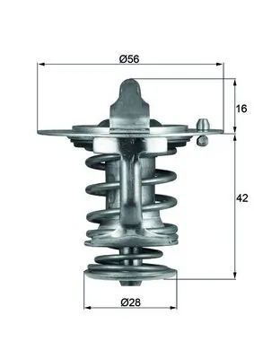 Thermostat, coolant