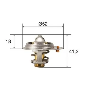 Thermostat, coolant
