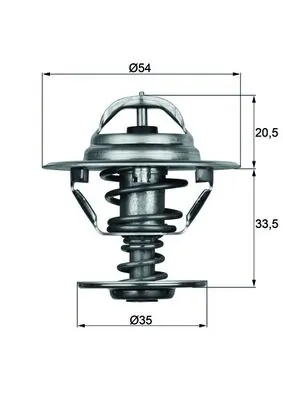 Thermostat, coolant