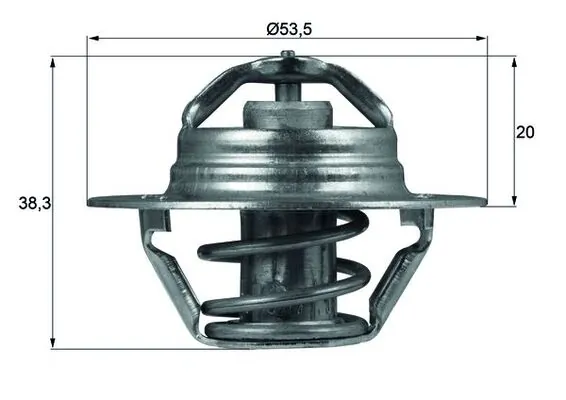 Thermostat, coolant