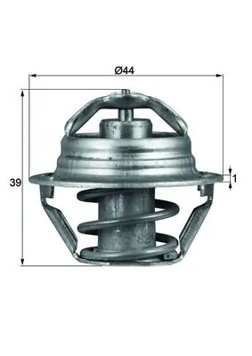 Thermostat, coolant