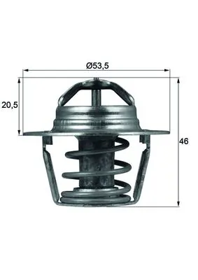 Thermostat, coolant