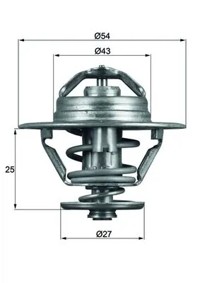 Thermostat, coolant