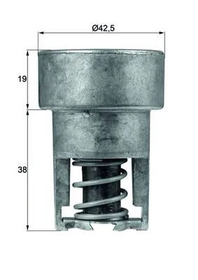 Thermostat, coolant