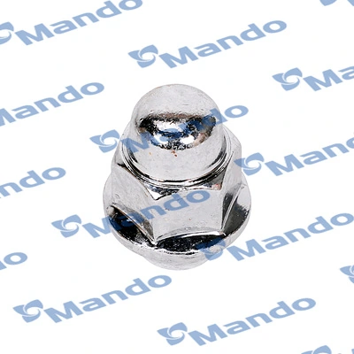 Wheel Nut