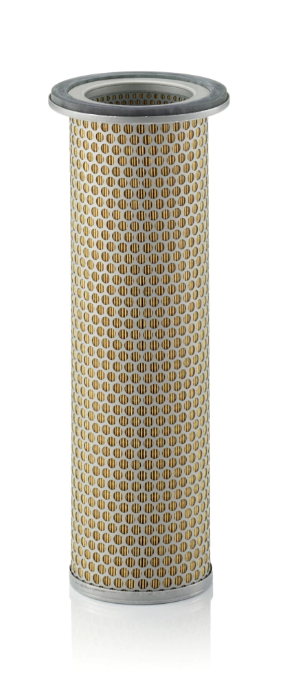 Secondary Air Filter
