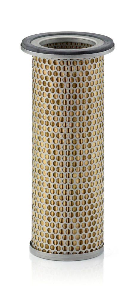 Secondary Air Filter