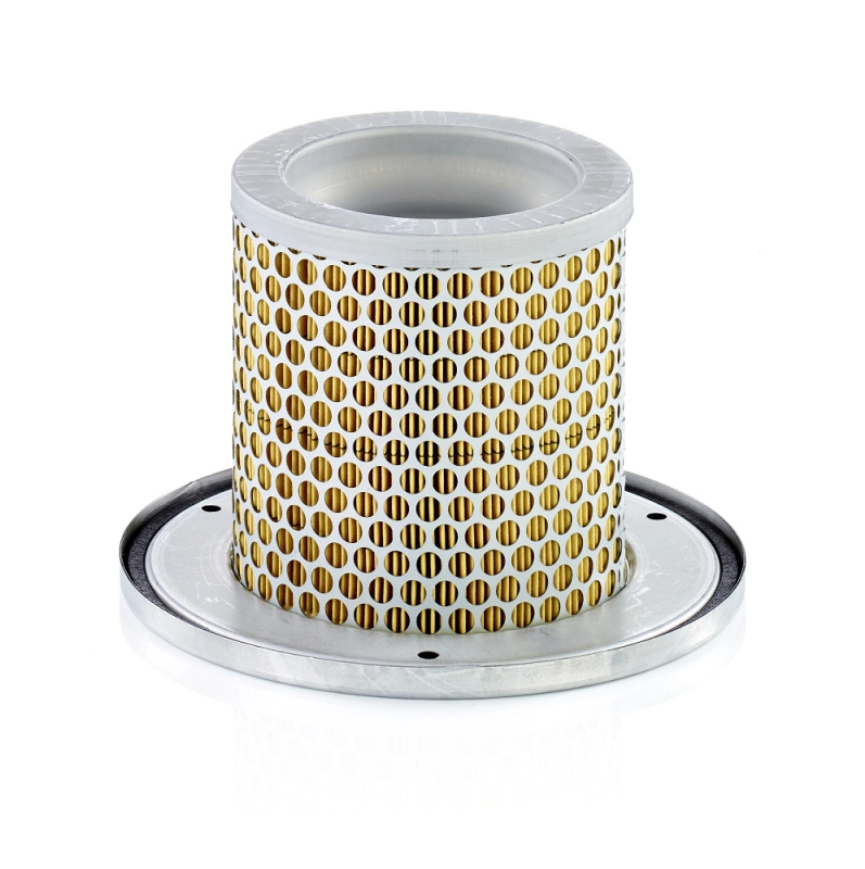 Secondary Air Filter