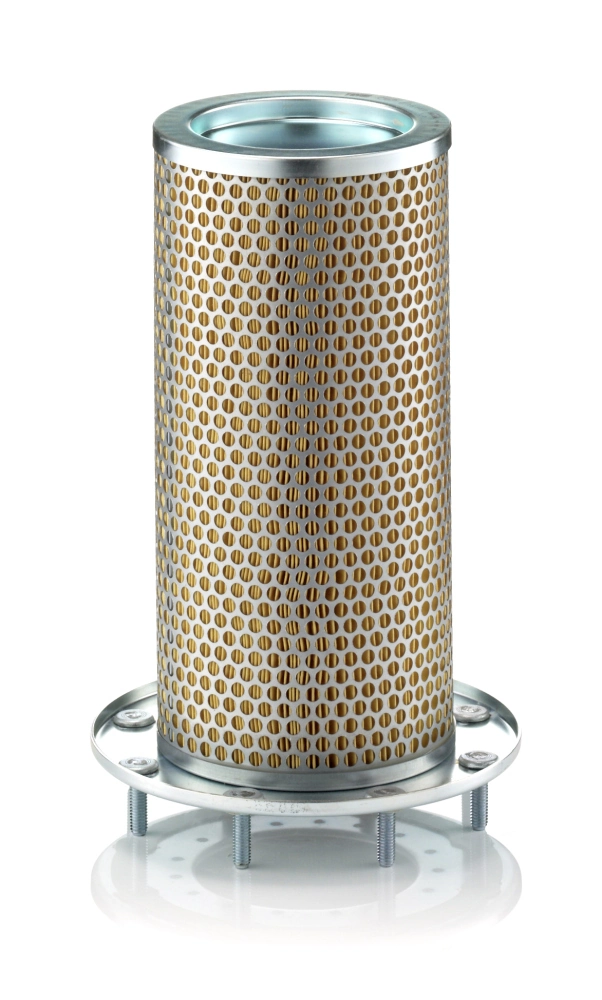 Secondary Air Filter