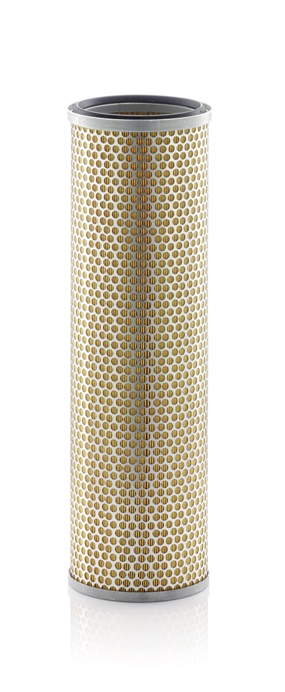 Secondary Air Filter