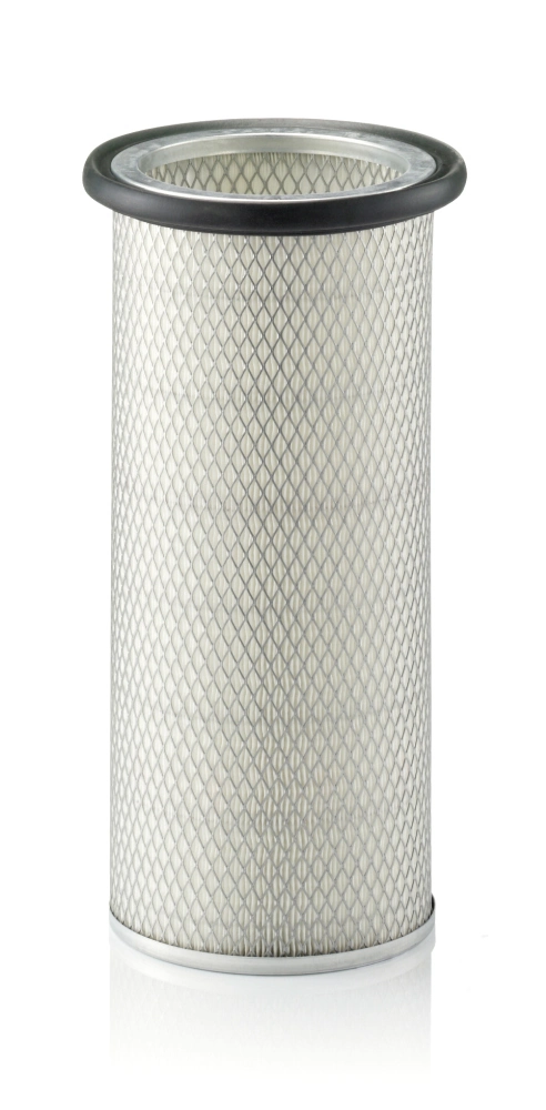 Secondary Air Filter