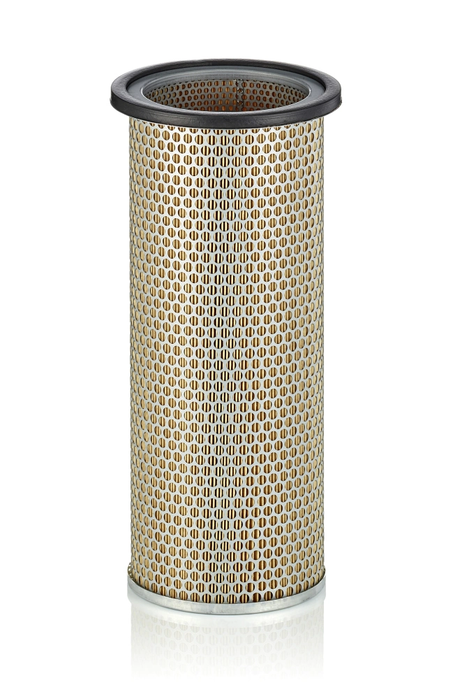 Secondary Air Filter