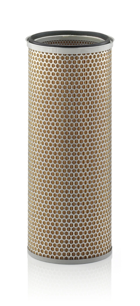 Secondary Air Filter
