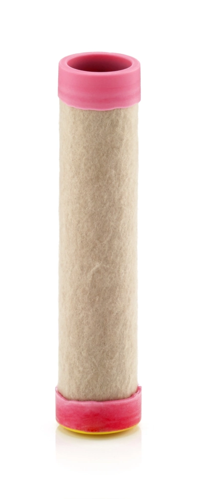 Secondary Air Filter