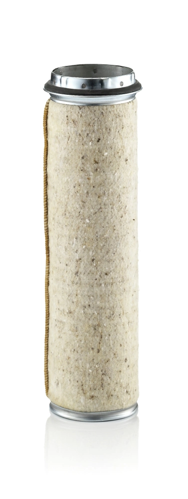 Secondary Air Filter