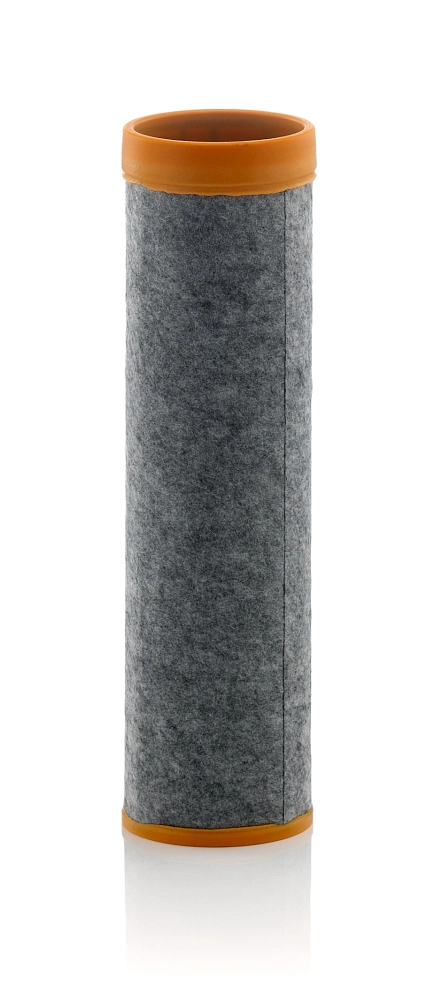 Secondary Air Filter