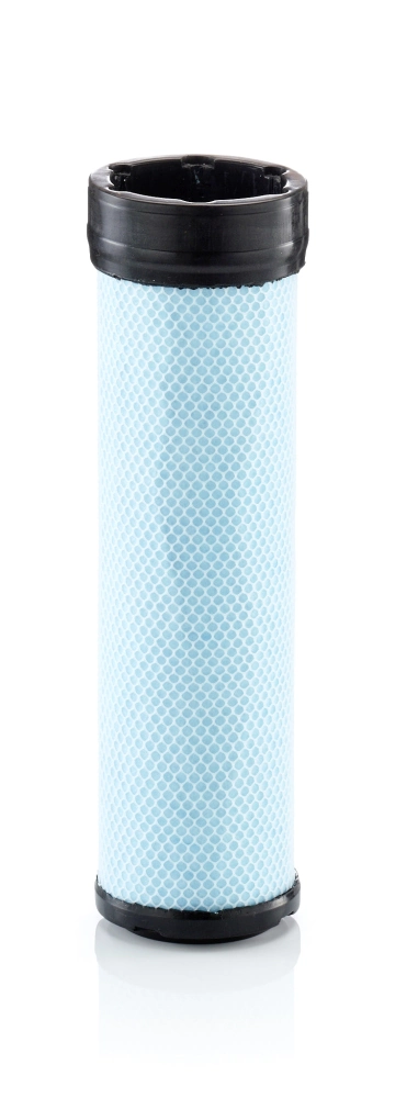 Secondary Air Filter
