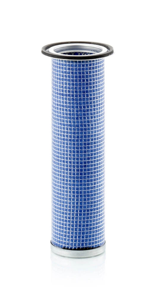 Secondary Air Filter