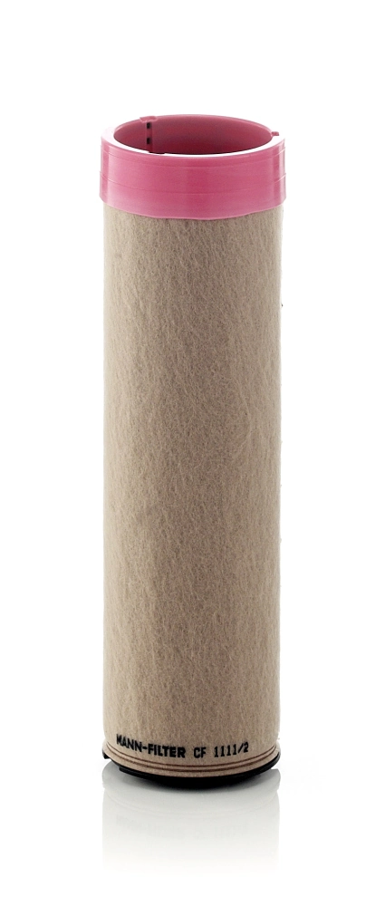 Secondary Air Filter