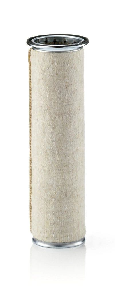 Secondary Air Filter