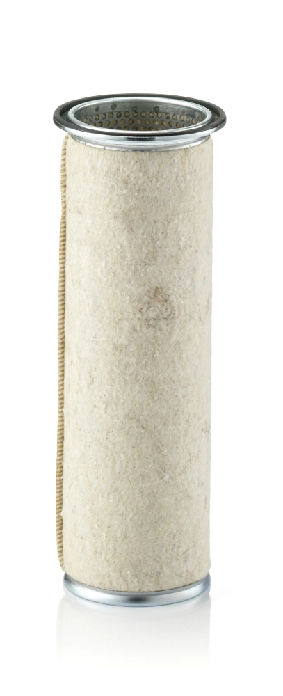 Secondary Air Filter