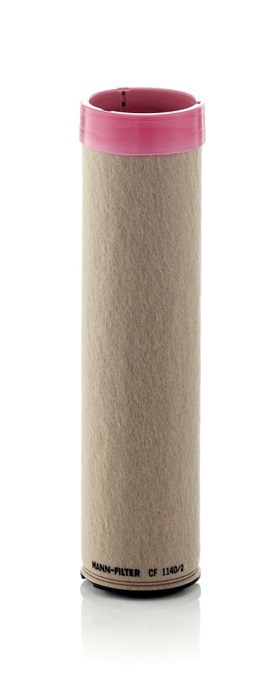 Secondary Air Filter