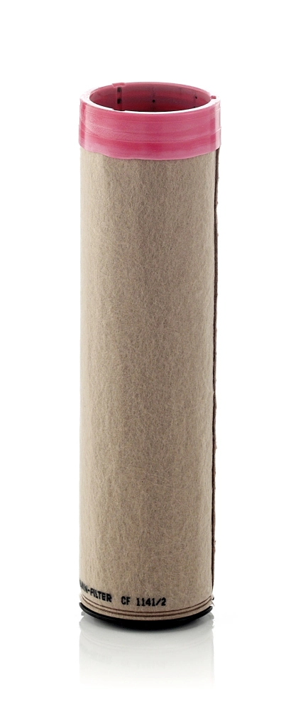 Secondary Air Filter
