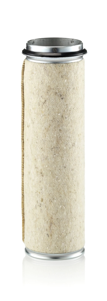 Secondary Air Filter