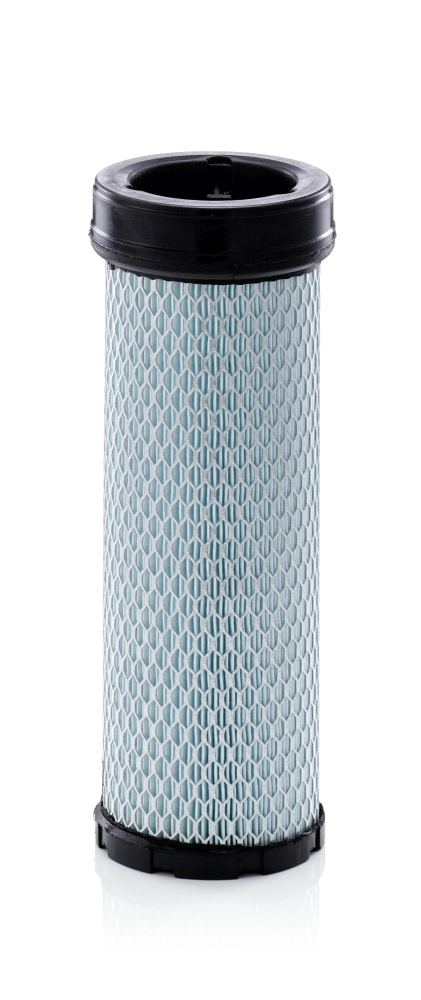 Secondary Air Filter