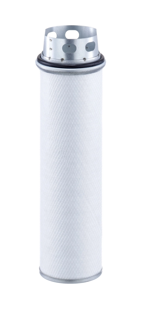 Secondary Air Filter