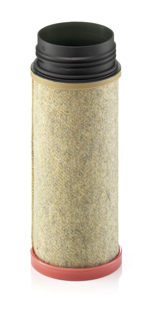 Secondary Air Filter