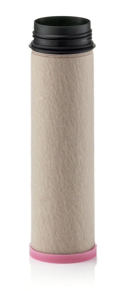 Secondary Air Filter
