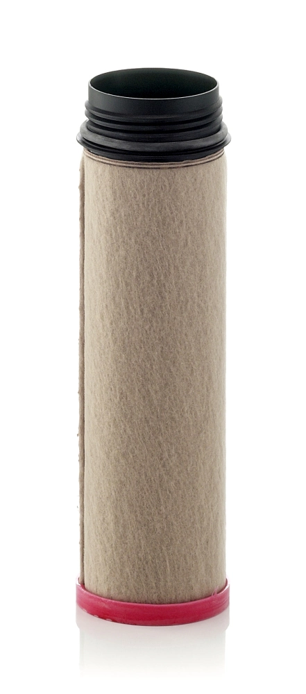 Secondary Air Filter