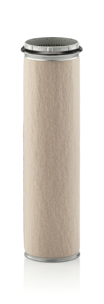 Secondary Air Filter