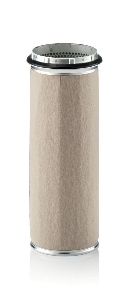 Secondary Air Filter