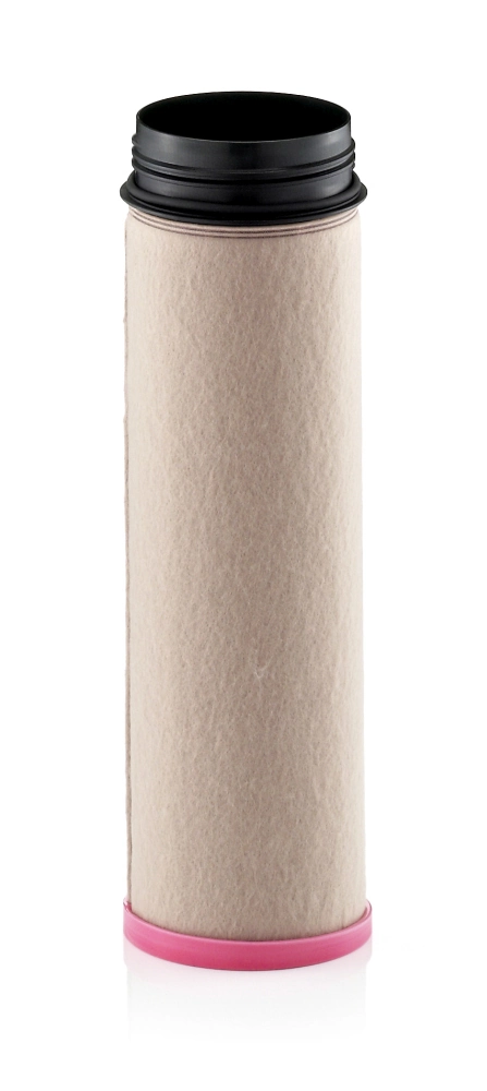 Secondary Air Filter