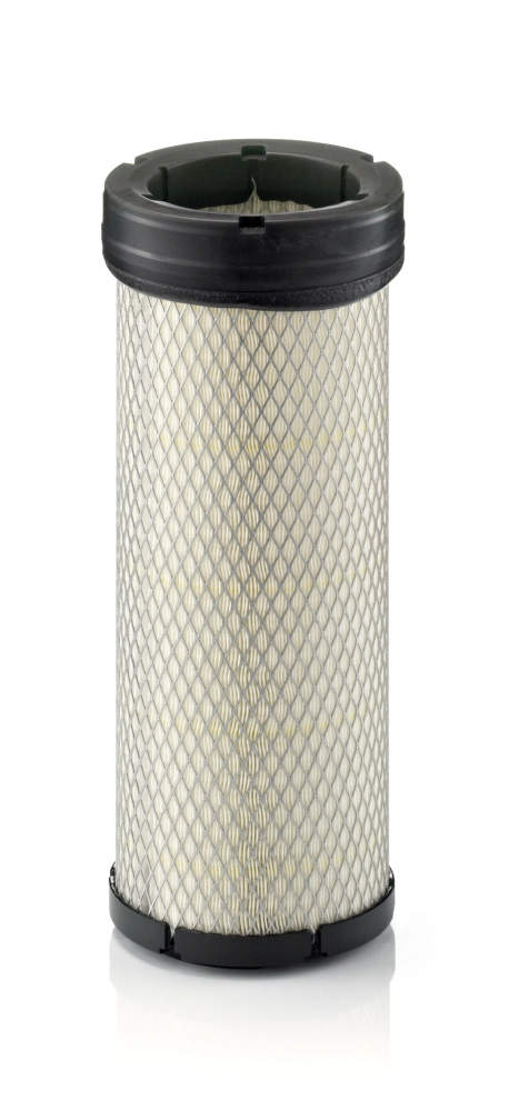 Secondary Air Filter