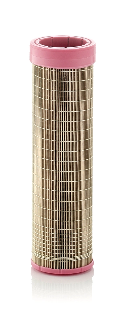 Secondary Air Filter