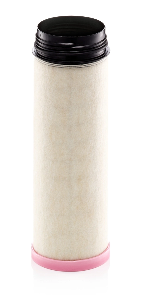 Secondary Air Filter