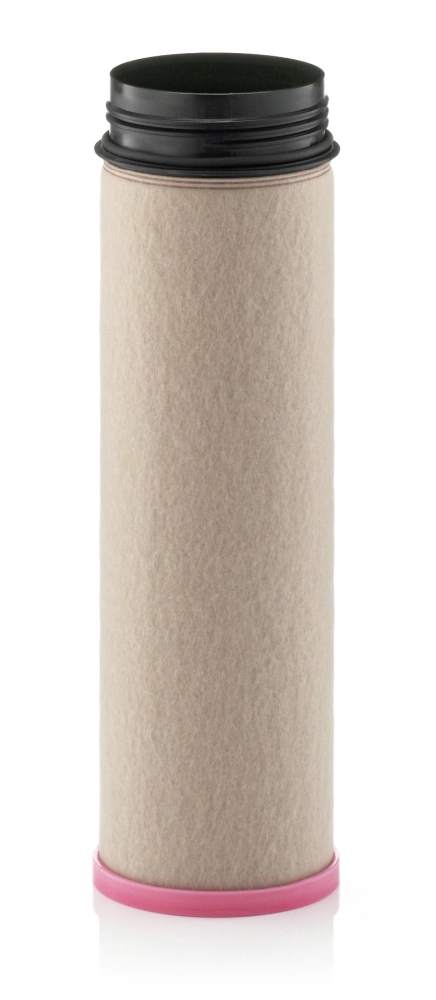 Secondary Air Filter