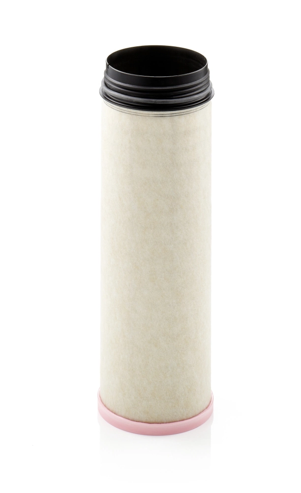 Secondary Air Filter