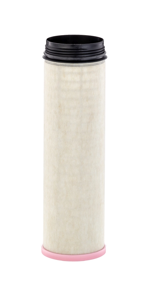 Secondary Air Filter