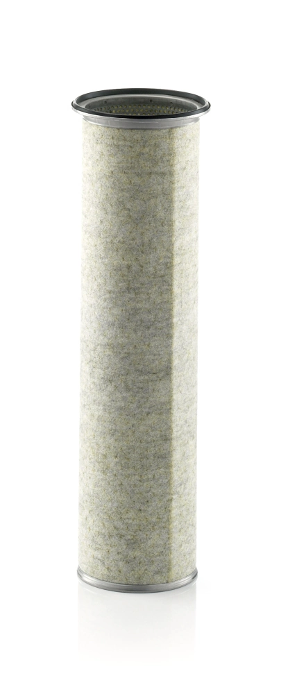 Secondary Air Filter