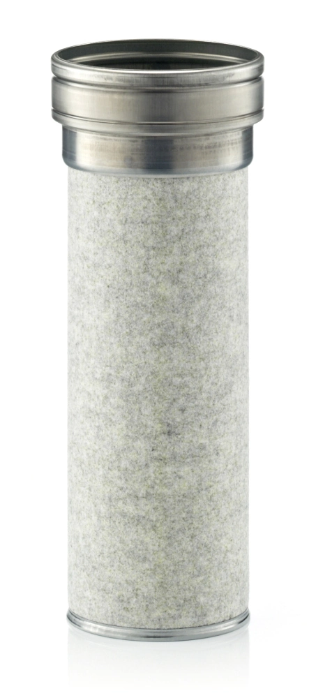 Secondary Air Filter