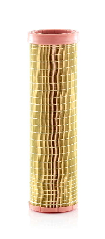Secondary Air Filter