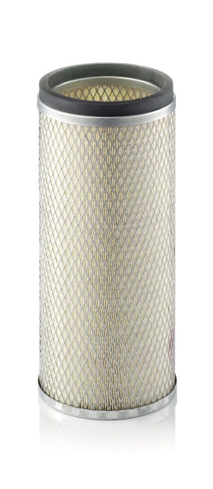 Secondary Air Filter