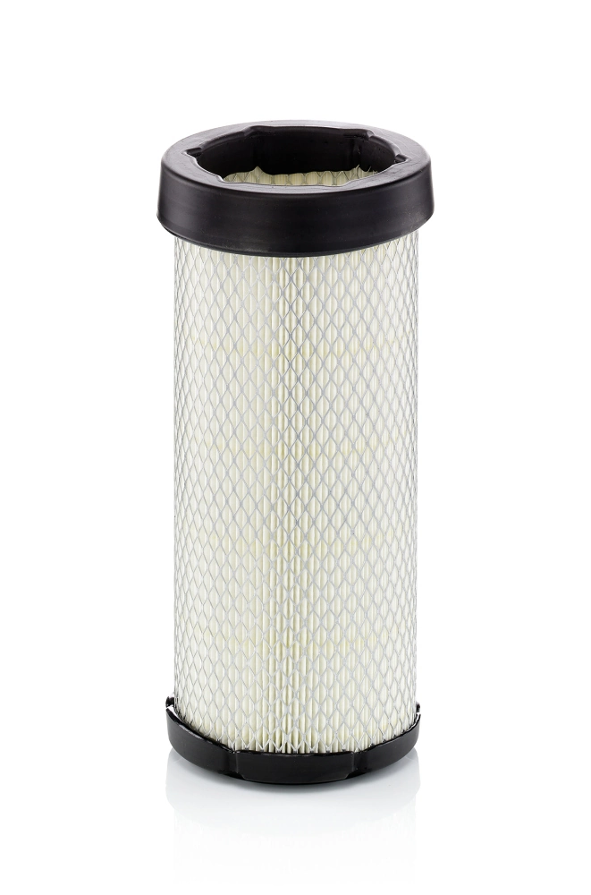 Secondary Air Filter