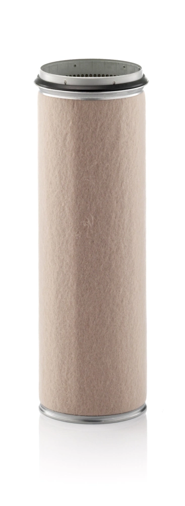 Secondary Air Filter
