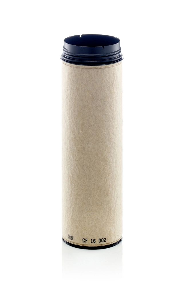 Secondary Air Filter